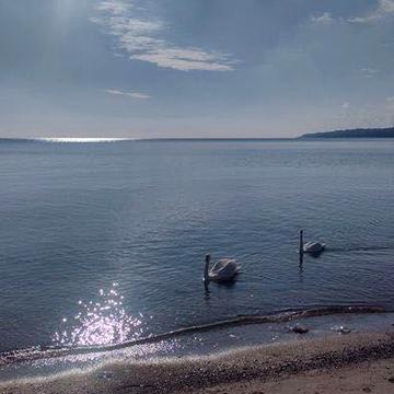 Сдам дом на берегу моря. Черноморск.