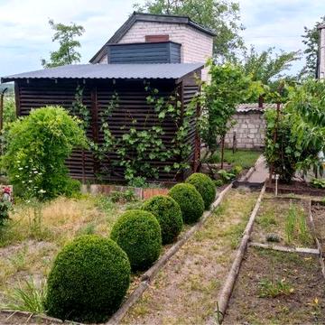 Дача з двума будинками, район Сухачівка. Власник + Торг