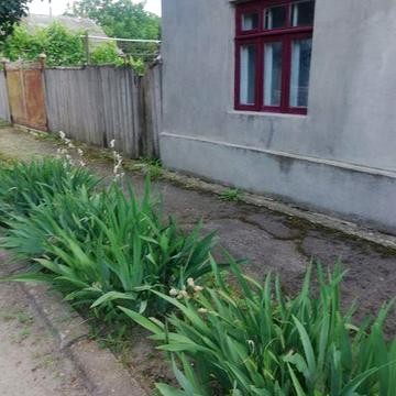 Сдаётся частный дом