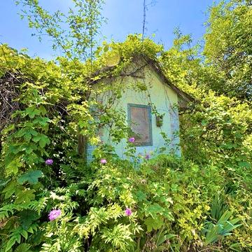 Продаж затишної дачі в смт Дніпровське