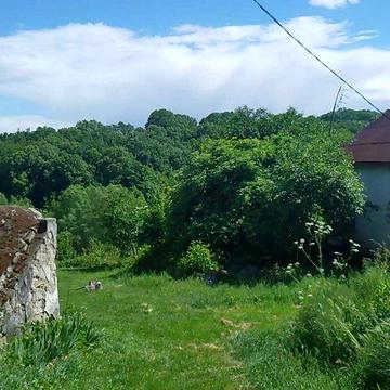Земельна ділянка зі стареньким будинком,Київської області.