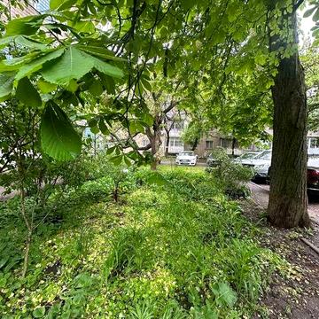 Редкая Комната Краснова 12м² 3й Этаж Мебель Кладовка 9000$ Коммуналка Свой Угол