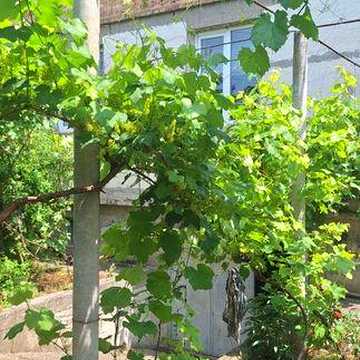 Продам дом на Курчатова