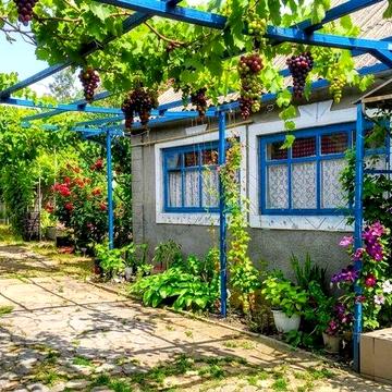 Відпочинок Коблево - здається будинок та кімнати