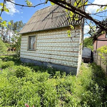 Продам дачу біля лісу