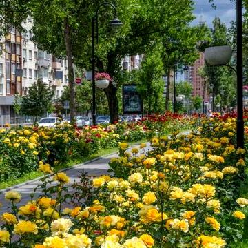 М Печерська, бульвар Л. Українки 28 , 3 кімн.  !  Рідкісне везіння)