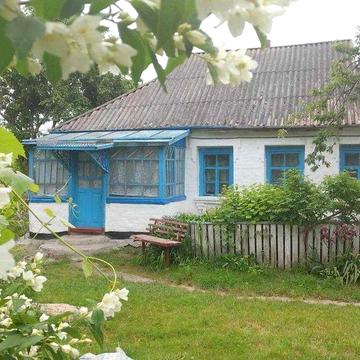 Будинок з земельною ділянкою 32 сотки в селі Медвин, Киівська обл, газ