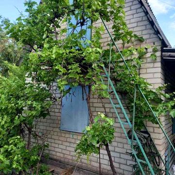 Продам 2 смежные дачи ост. Будка