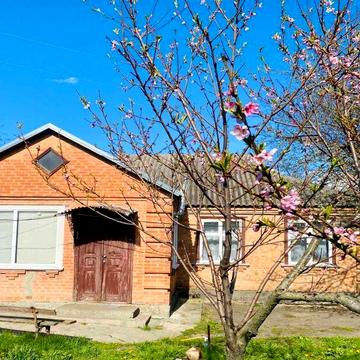 Добротний будинок в передмісті Полтави!Державні програми!