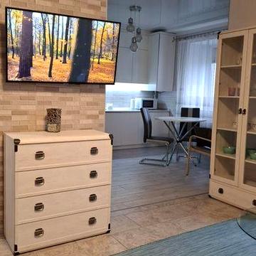 Здається квартира-студія на довгострокову оренду.