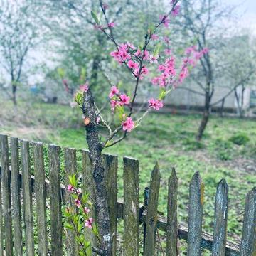 Господарство в селі