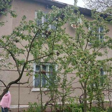 Продаю будинок м. Дрогобич