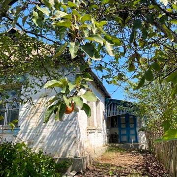 Продаж будинку 60,5м². 3 кімнати. Під ремонт. Ділянка 42 сотки. ID:510