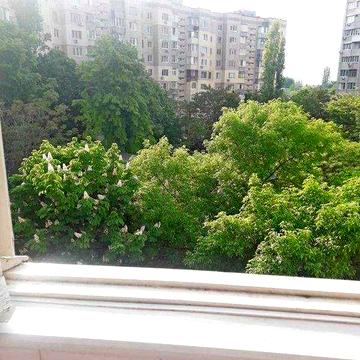 3 квартира   князя Ярослава Мудрого /рынок Киевский/