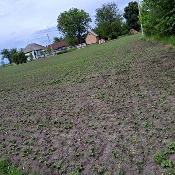 Продам будинок в с.Хомутець . Або на розбір.