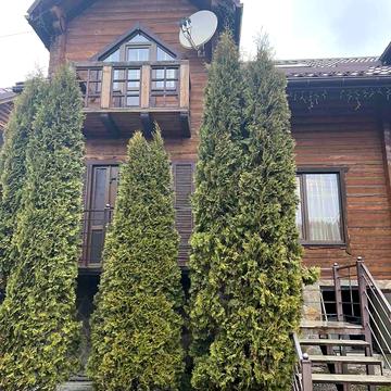 Карпатська, 33