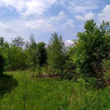Продам будинок поблизу м.Вінниці