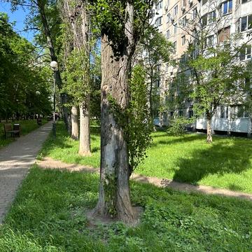 Кримська вул., 84