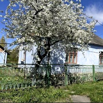 Будинок з земельною ділянкою на затишній вулиці