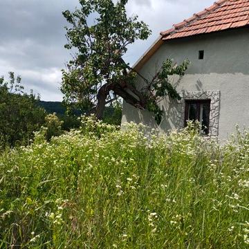 Продам дом Закарпатье Мужиево
