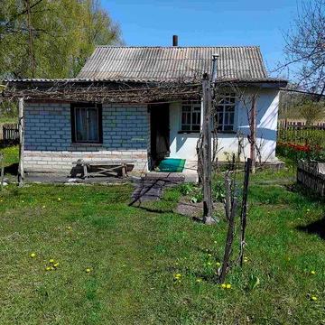 Продам дом в Солоницевке (169223)