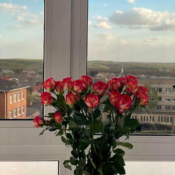 Продаж 1к Квартира Синьоводська (Маяковського) вулиця
