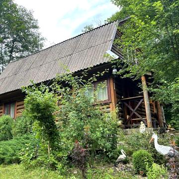 Будинок в гірській місцевості