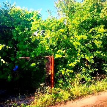 Продам двоповерхову дачу Кривуші/Продам двухэтажную дачу Кривуши