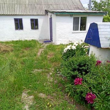 Продам будинок в селі Мачухи від Полтави 10 км