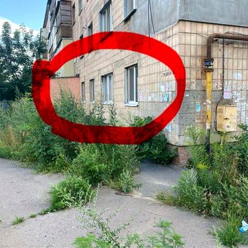 Квартира під бізнес 1 поверх