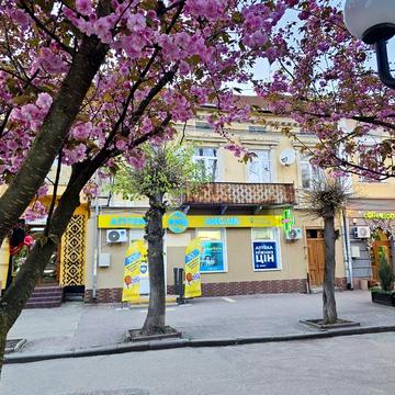 Квартира в центрі Самбора  555$ за м.кв