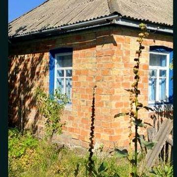 Продам будинок і 0,66га землі, в с. МИХАЙЛІВКА біля Канів, 66с.землі
