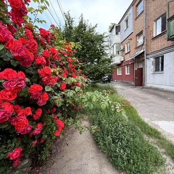 Продаж 3 кімн квартири