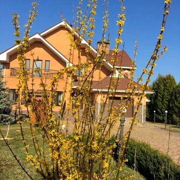 Здам будинок в оренду Киівська обл .село Рудики (Козин)