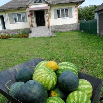 Продам будинок в затишному безпечному місці на Буковині з зусіма зручностями