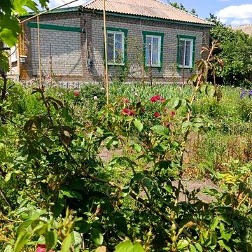 Продам затишний доглянутий будинок зі всіма зручностями, господарськими будівлями та великим двором ті городом.