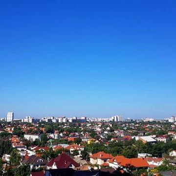 Сдам от месяца у моря евродвушки Литературная ЖК Орион модно животное