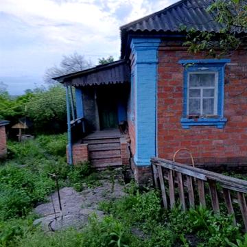 Продам обійстя в селі Броварки