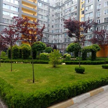 Здається одно кімнатна квартира (перша здача) від власника