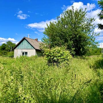 Продаж затишного будинку, з великою ділянкою 20 соток серед природи!