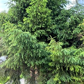 Сдам 3 х комнатный дом с гаражом.Район пр. Науки ( пр. Гагарина).  Риелторы не звоните.