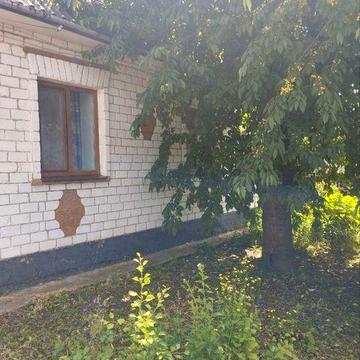 Продам просторий будинок у Томашполі 3449