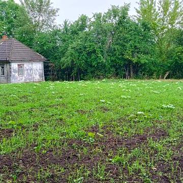 Продам будинок з ділянкою, с. Ольшана, Ічнянського району, Чернігівської області