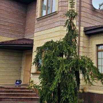 Продаж елітноі нерухомості