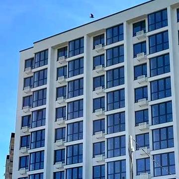 Двокімнатна квартира ЄОселя в центральній частині міста готова до ремонту ГАЗ