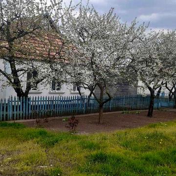 Продам дом со всеми удобствами