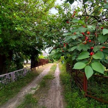 Продаж дачі в кооп *ЛИМАН* Самусіївка
