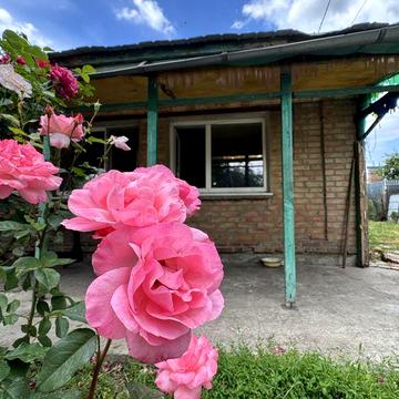Продаж будинку Кущівка