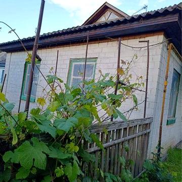 Будинок в Руській Поляні