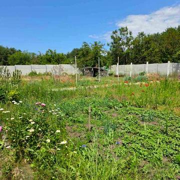 Продаж дачі кооператив Фіалка, Самусіївка